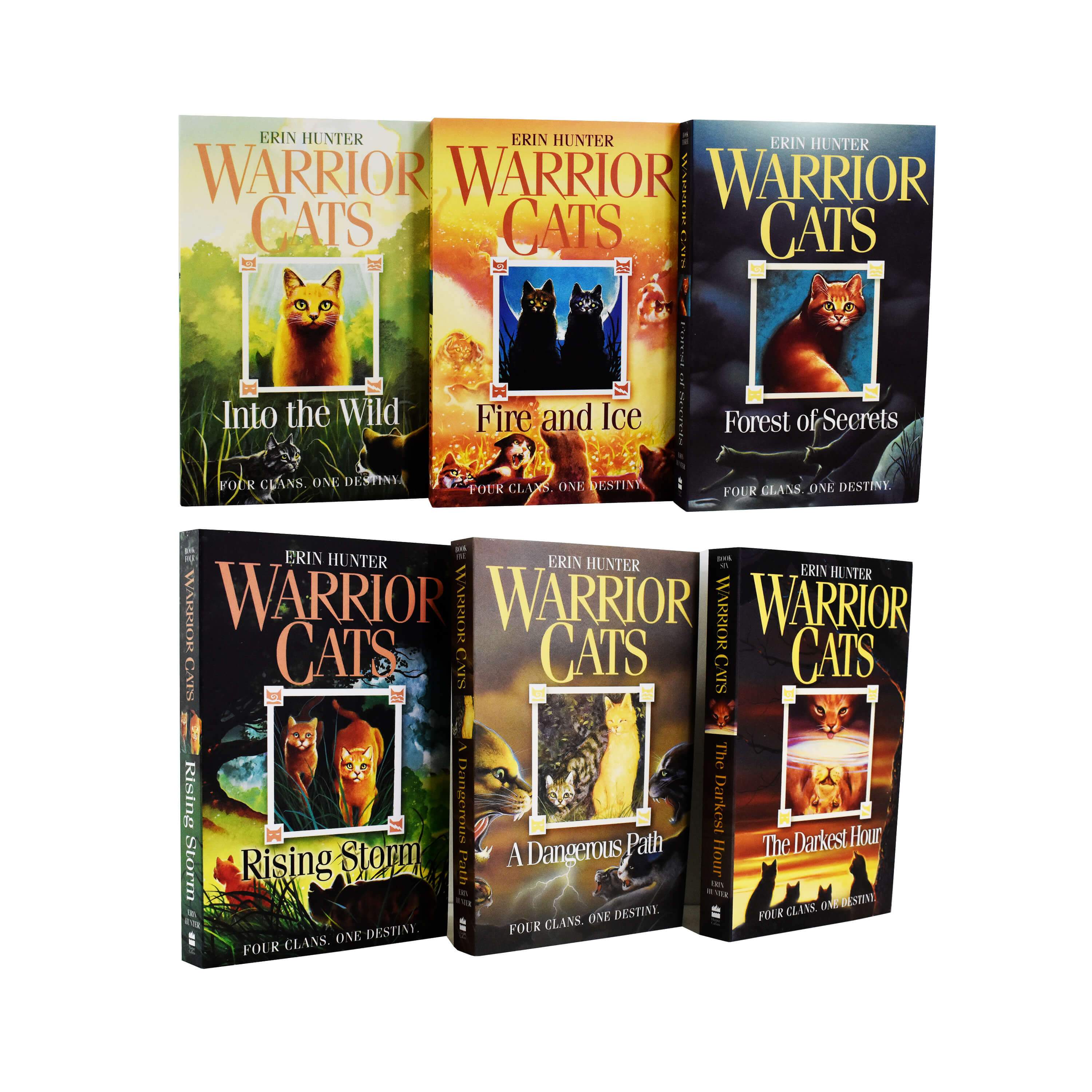 Warrior Cats Series 1 The Prophecies Begin 6 Books by Erin Hunter