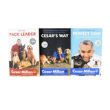 Cesar Milan 3 Books Young Adult Pack Non Fiction Collection Paperback Set - St Stephens Books